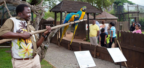 animal world sun city family children