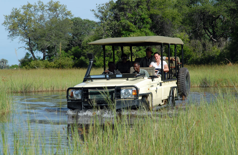 Safari en Baines Camp Botswana