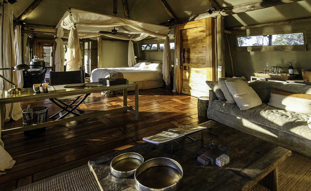 little mombo camp botsuana enkosi africa safari