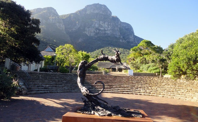 jardin botanico kirstenbosch ciudad del cabo cape town