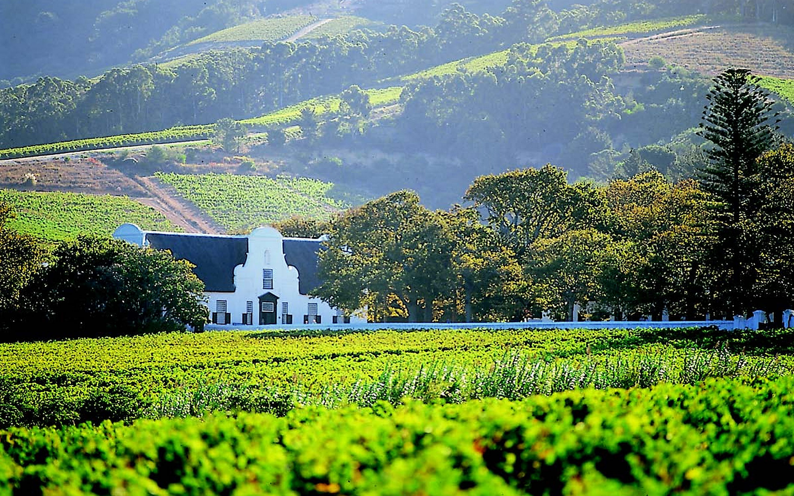 Hawksmoor house stellenbosch sudafrica enkosi africa region de los vinos del cabo