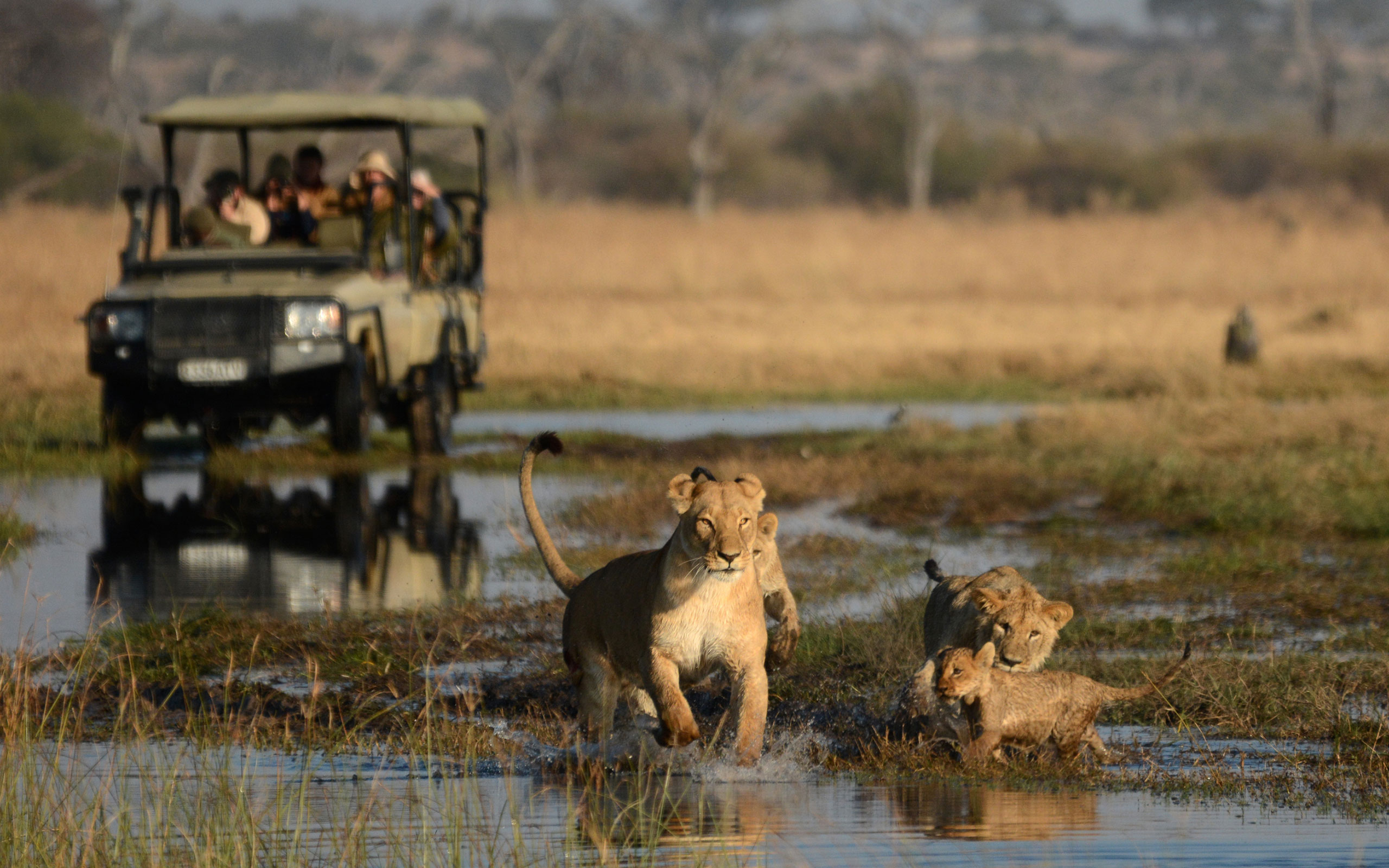 camp-savuti-chobe-botswana-safari-enkosi-africa