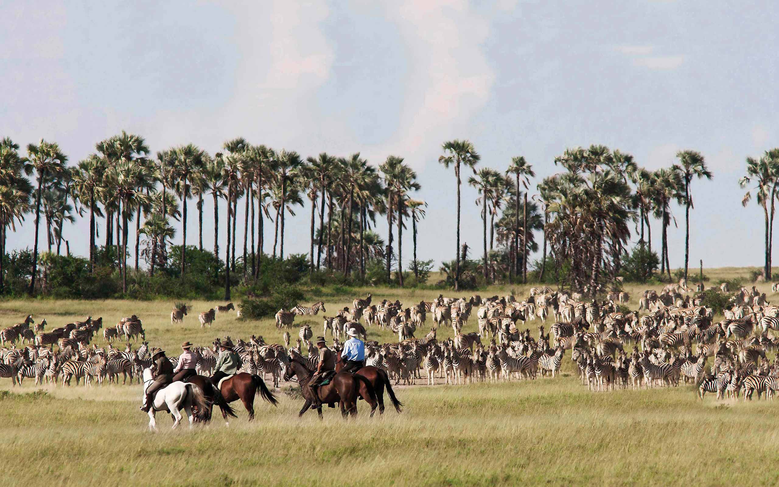 enkosi-africa-safari-botswana-makgadikgadi-pans-uncharted-jacks-camp-zebra-horse-riding
