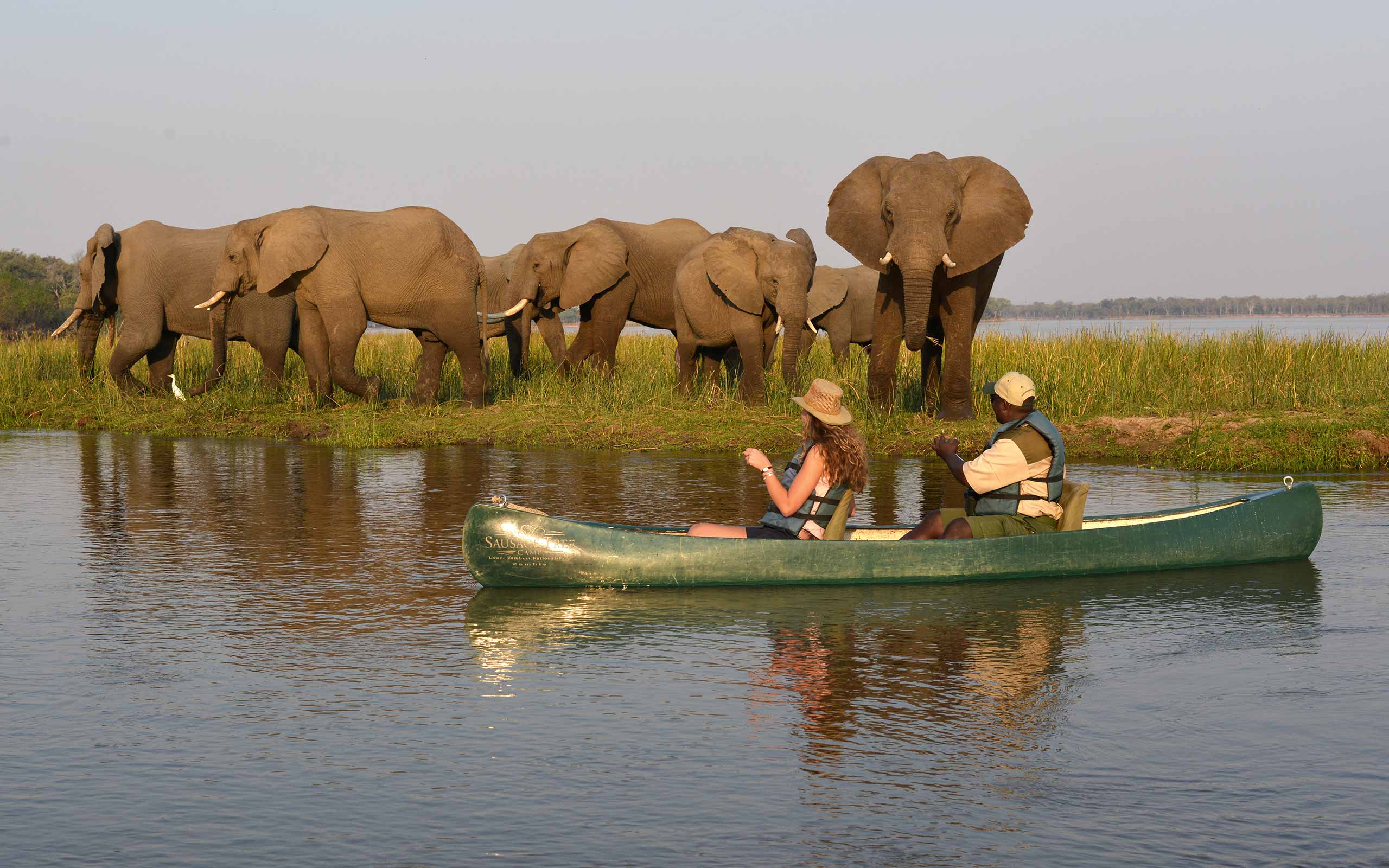 enkosi-africa-safari-zambia-lower-zambezi-sausage-tree-camp-