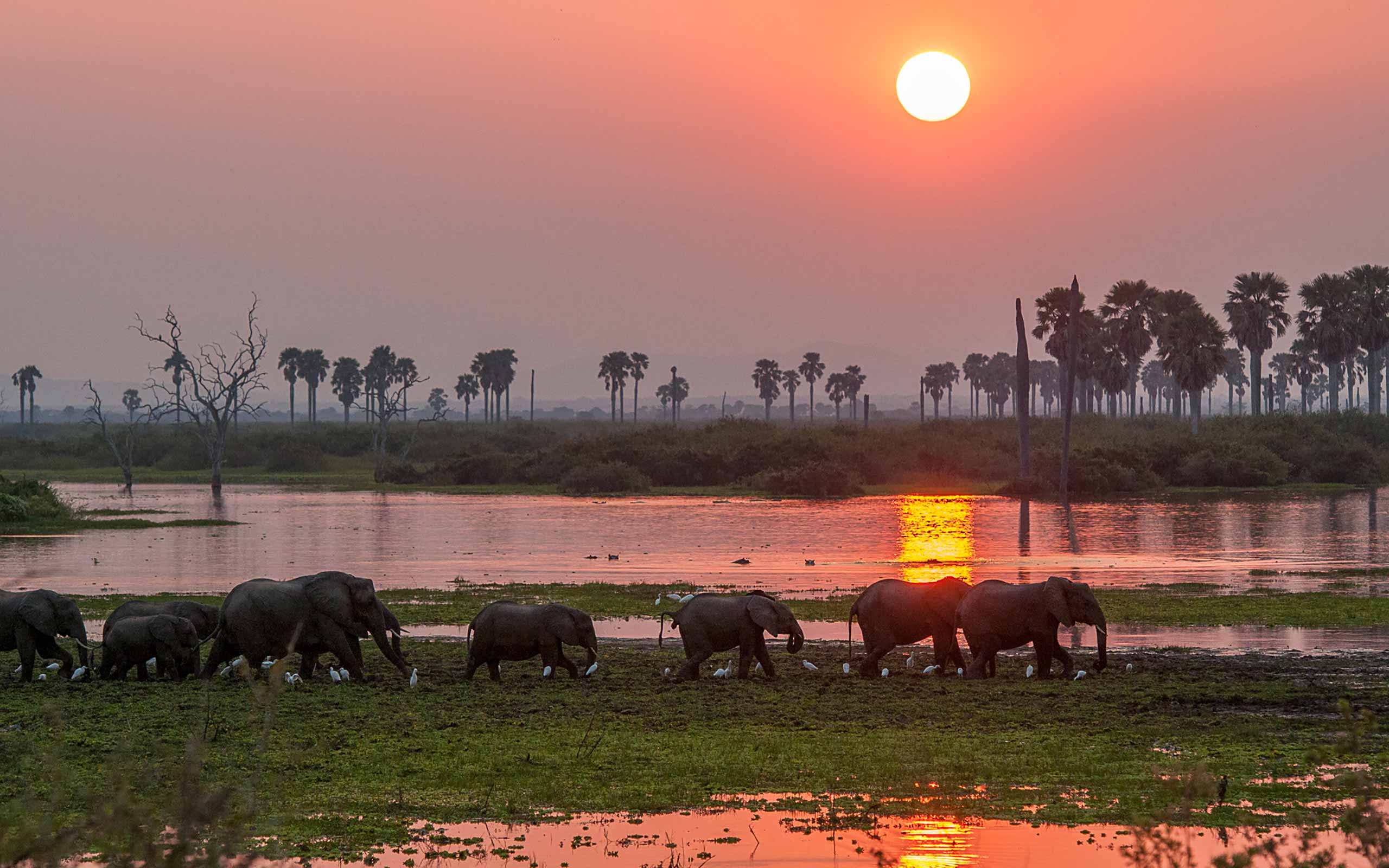 enkosi-africa-safari-tanzania-selous-roho-ya-asilia-river sunset