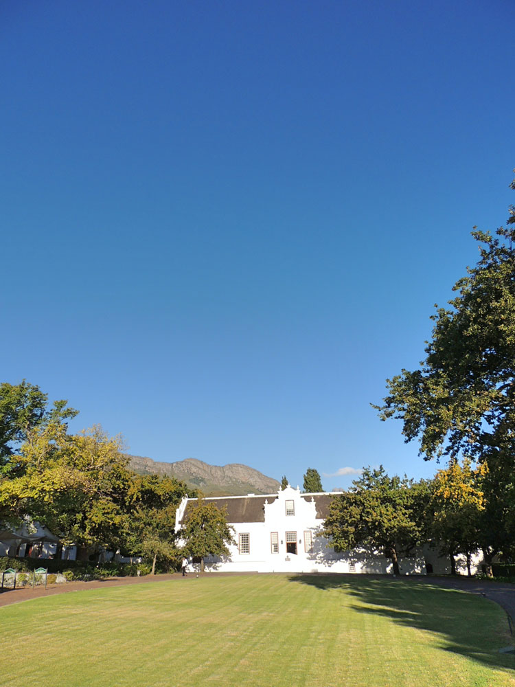 Enkosi Africa Sudafrica Lanzedac Wine Estate Stellenbosch