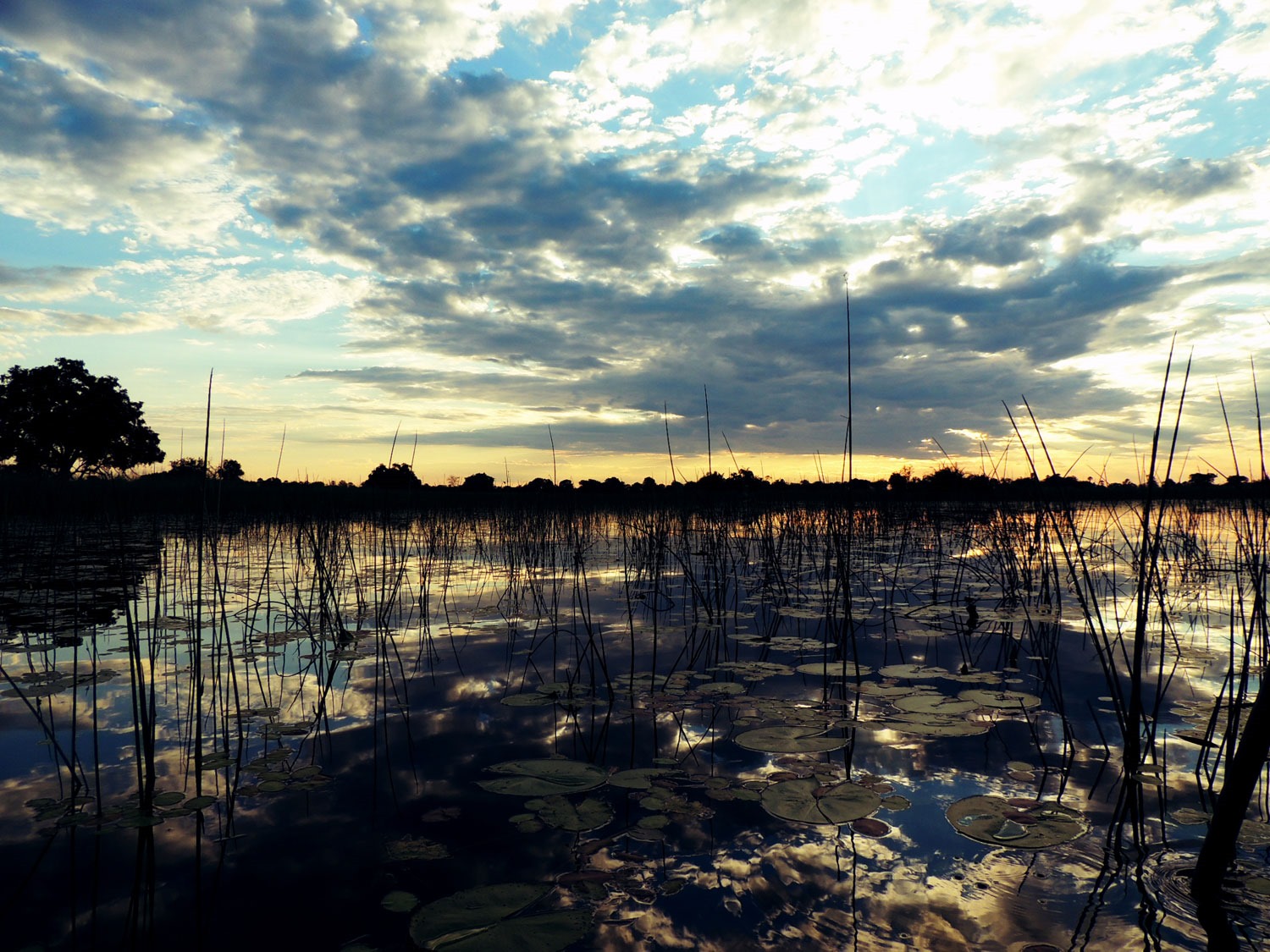puesta sol sunset andbeyond xaranna mokoro delta okavango botswana enkosi africa