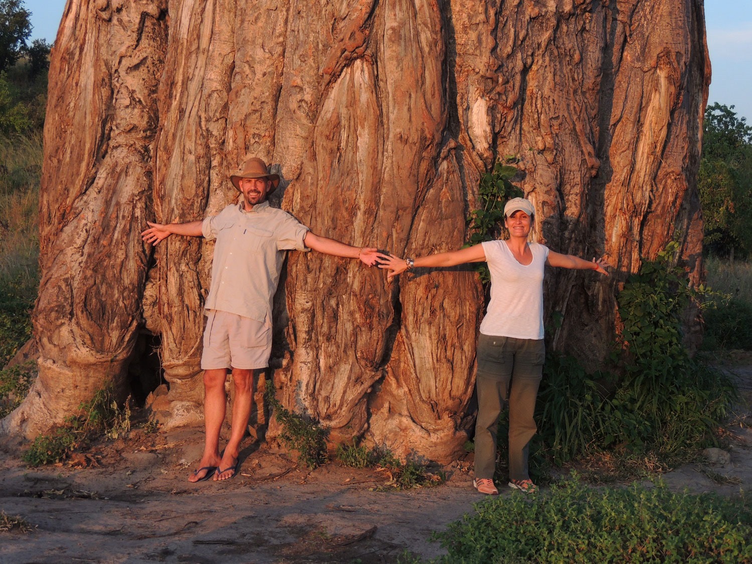savuti botswana baobab sara jordi enkosi africa