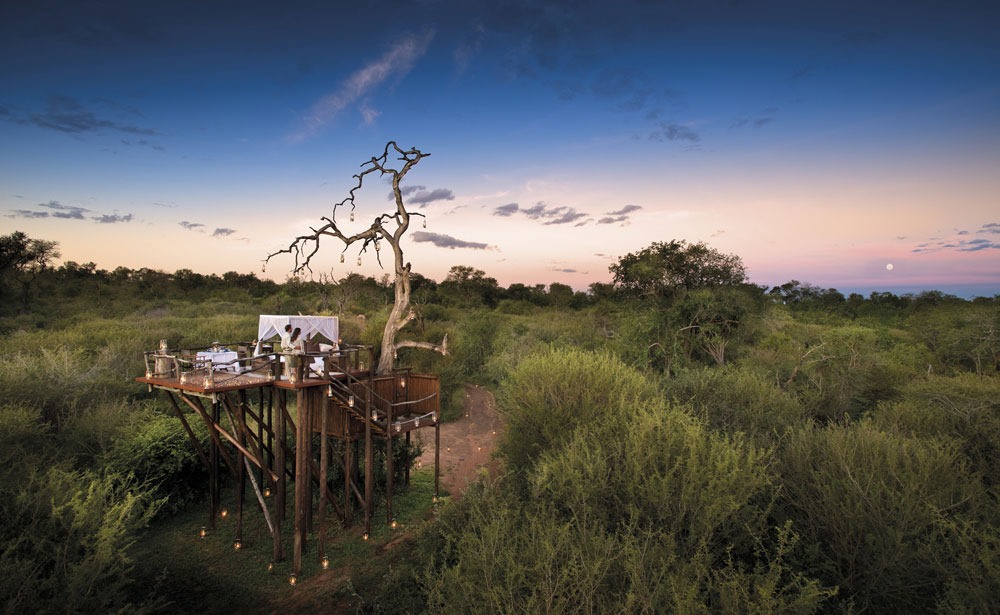 Chalkley-Treehouse-Lion-Sands