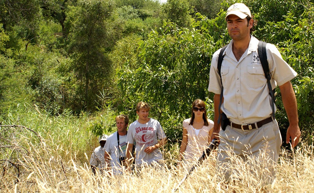 londolozi-safari-a-pie