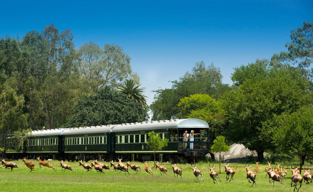 rovos-rail-safari