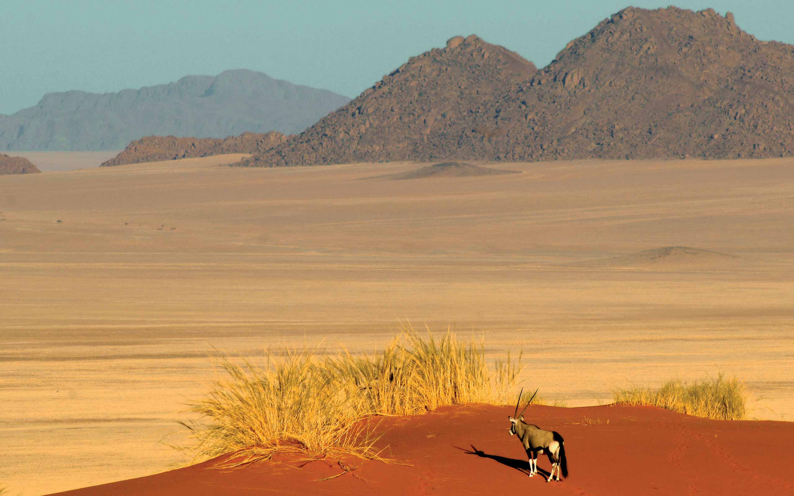 enkosi-africa-safari-namibia-namibrand-wolwedans-landscape-oryx