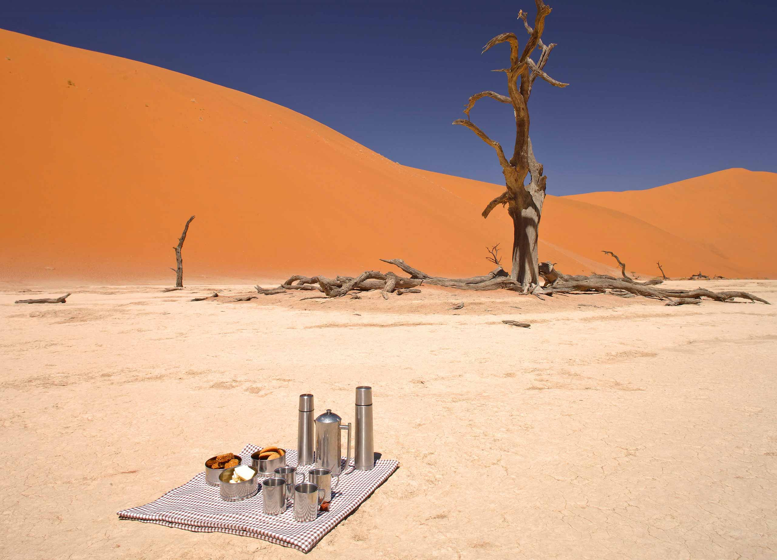 enkosi-africa-safari-namibia-sossusvlei-desert-lodge-andbeyond-dead-vlei