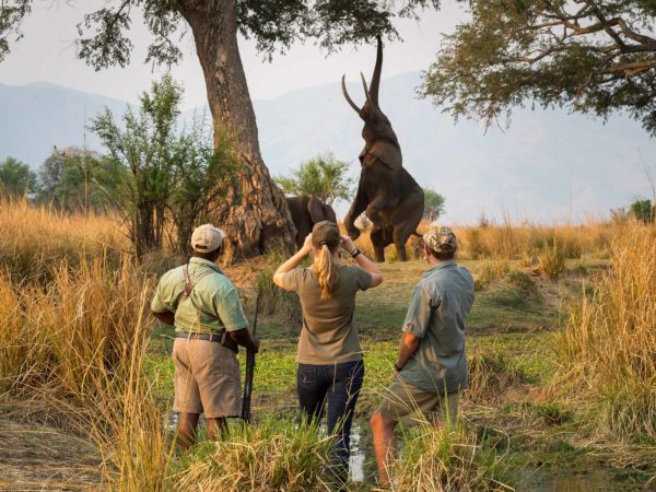 Zimbabwe