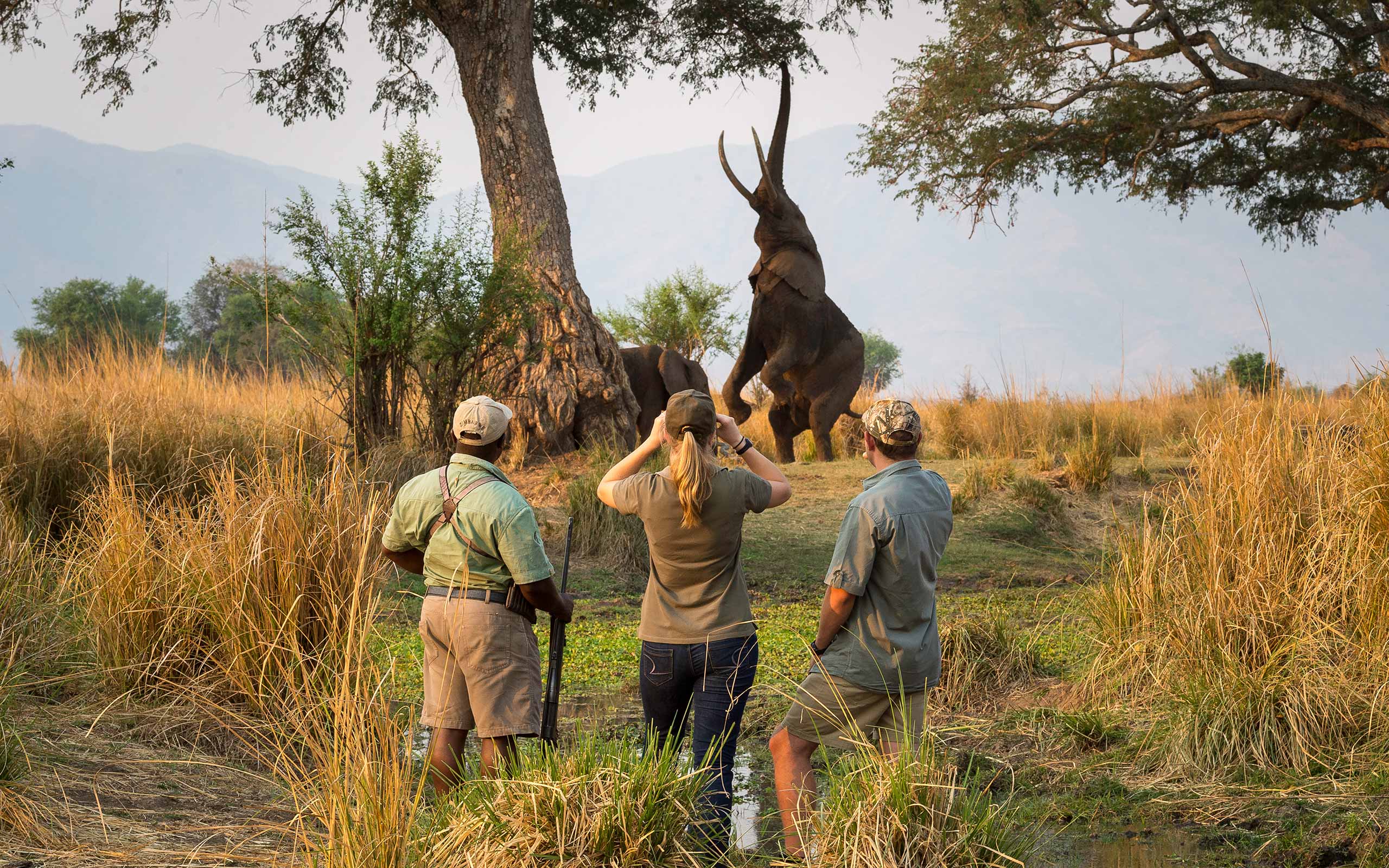 enkosi-africa-safari-zimbabwe-mana-pools-wilderness