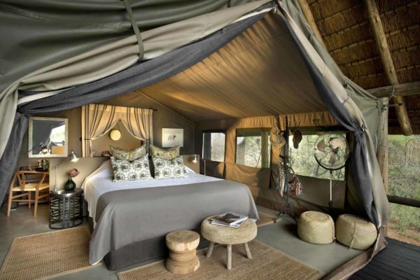 enkosi-africa-safari-sudafrica-timbavati-tanda-tula-camp-4