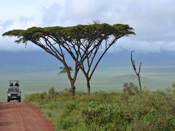 Tanzania