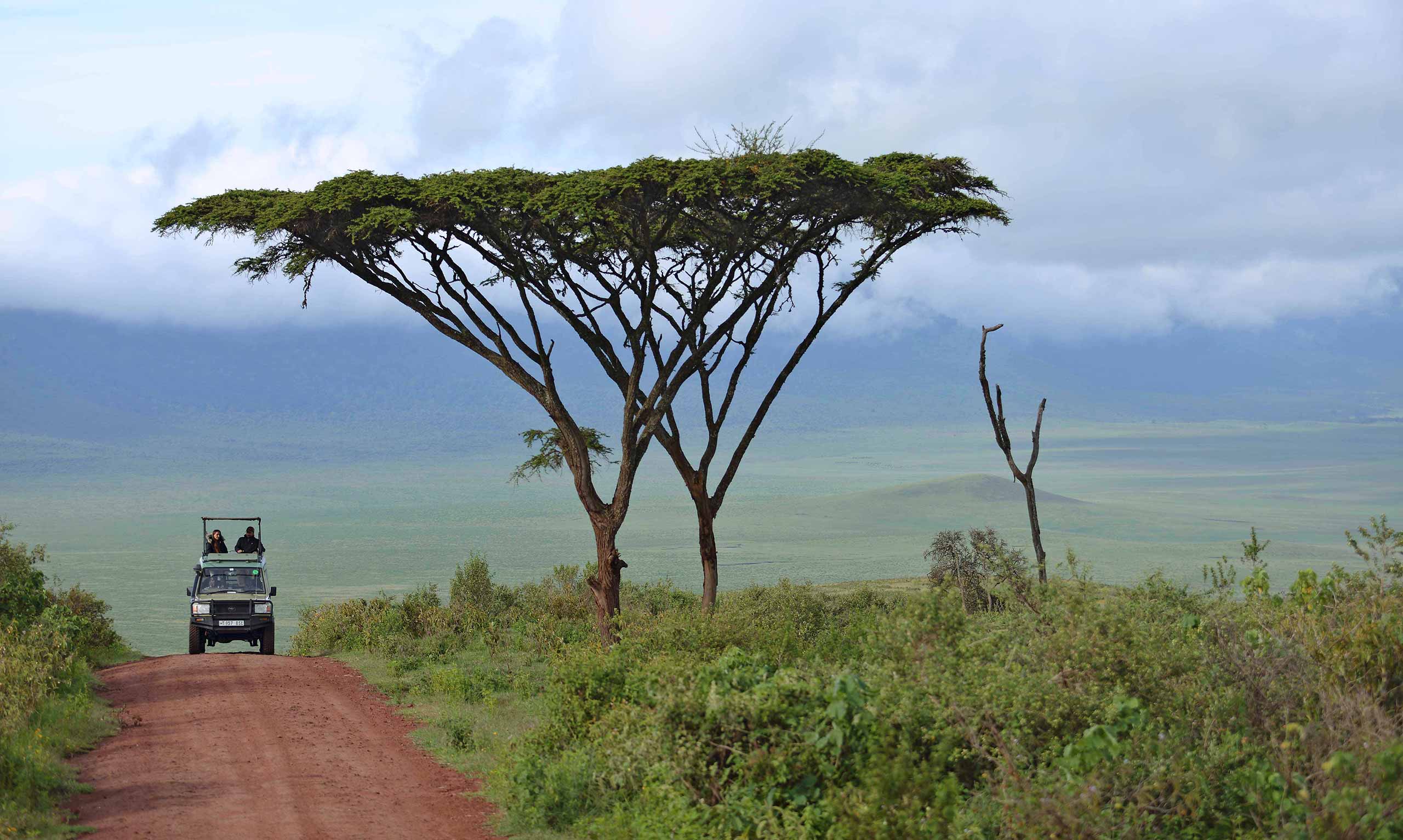 enkosi africa safari tanzania ngorongoro asilia The-Highlands-Ngorongoro-Descent-Road