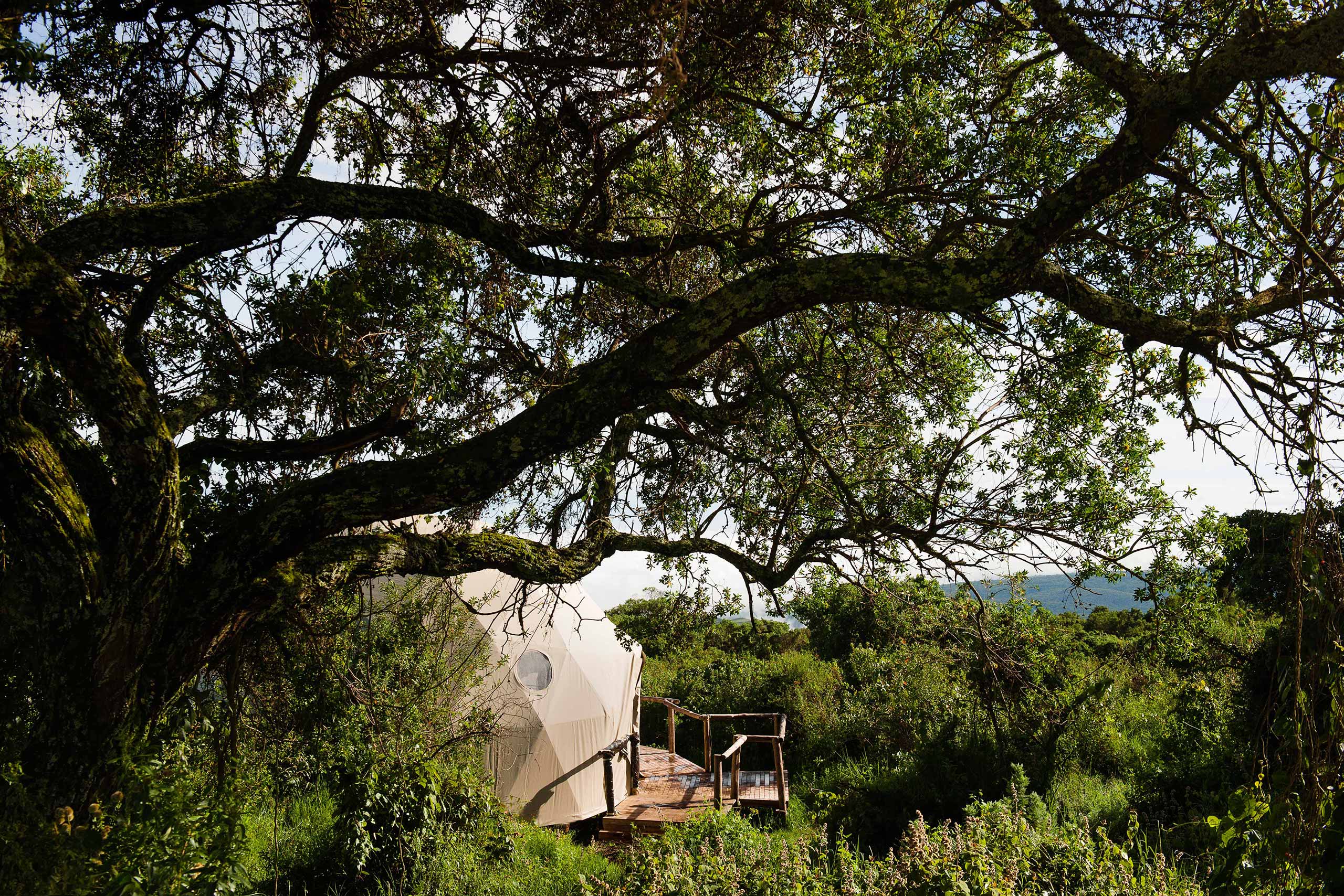 Enkosi Africa, A Tu Medida - The Highlands Camp, Ngorongoro.