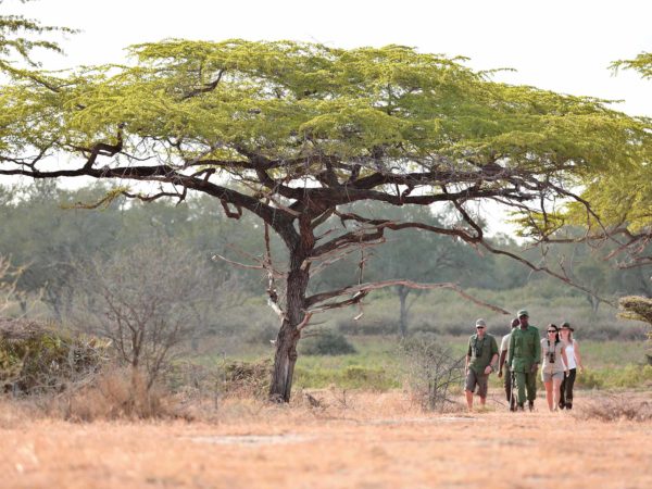 10 días – Safari Remoto en Tanzania