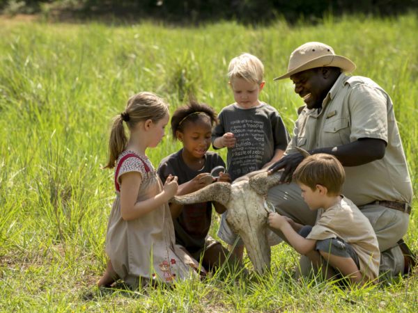 Safari en Familia