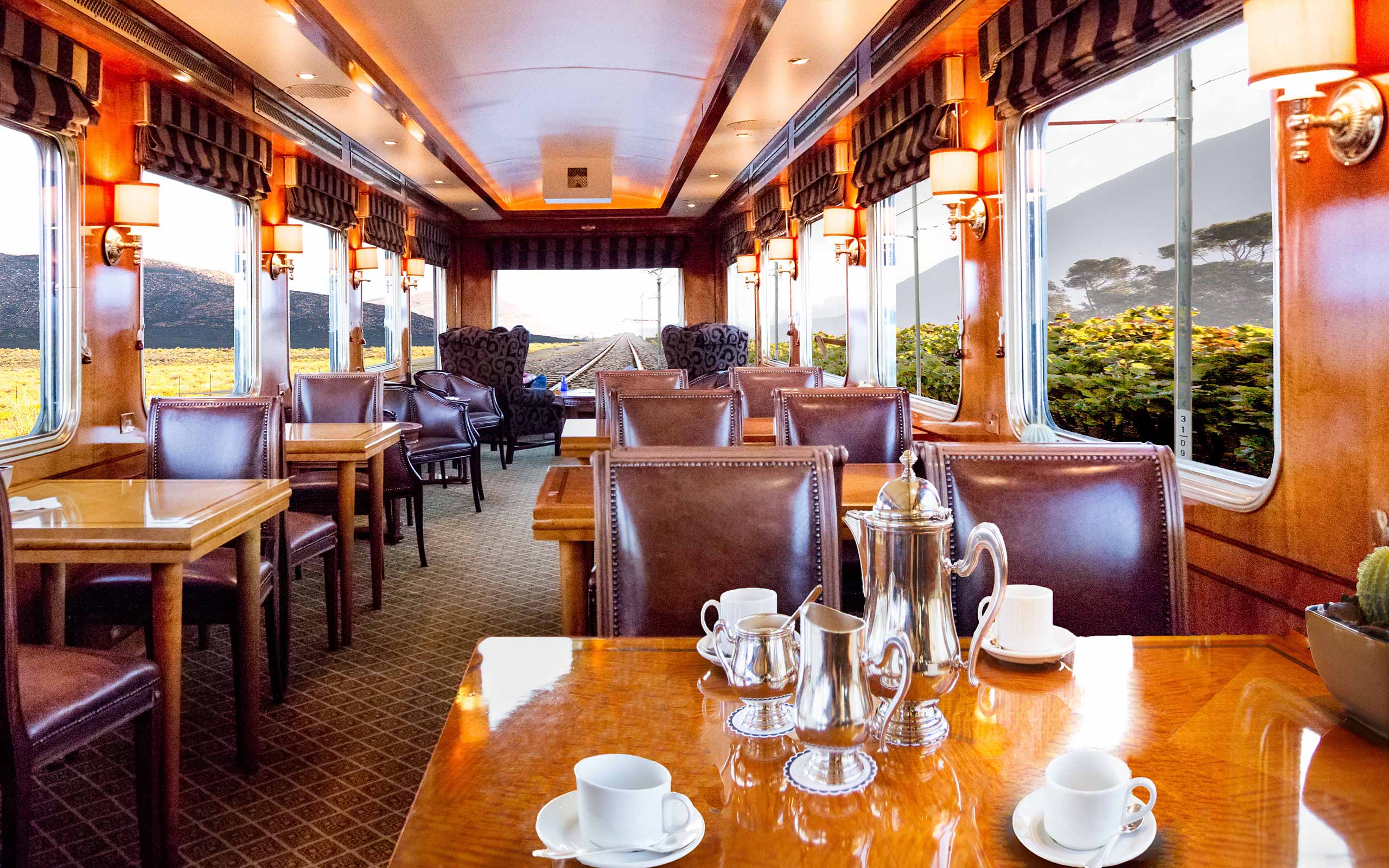 enkosi-africa-safari-the-blue-train-tren-observatory