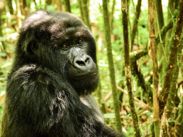 Rwanda