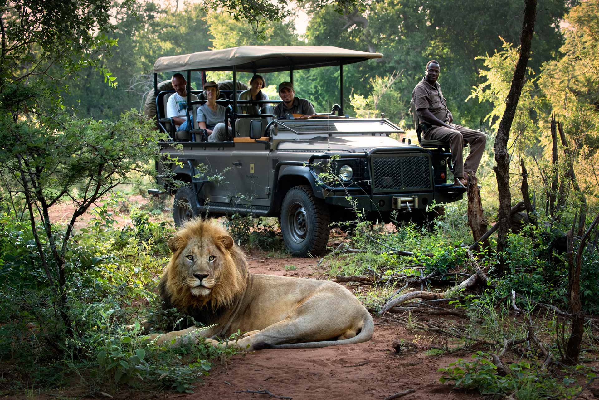 safari africa diciembre