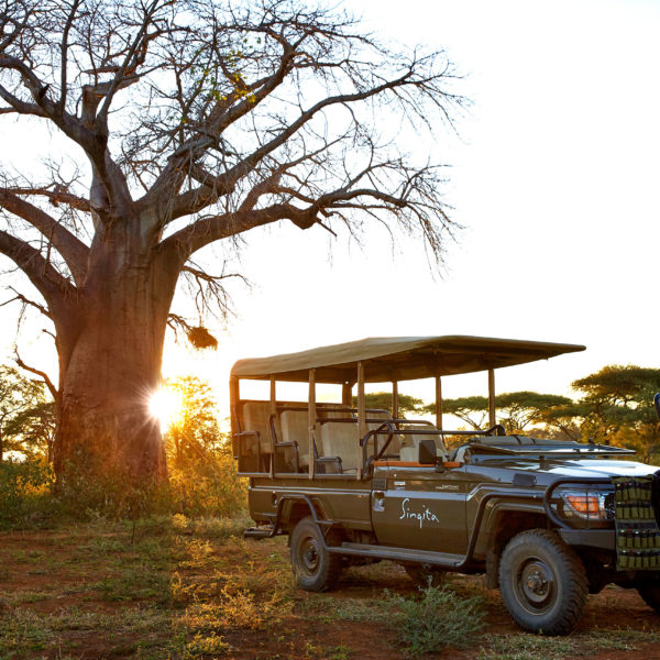 Viajar en Tiempos de Covid: Cómo Llegar a los Destinos de Safari YA Abiertos
