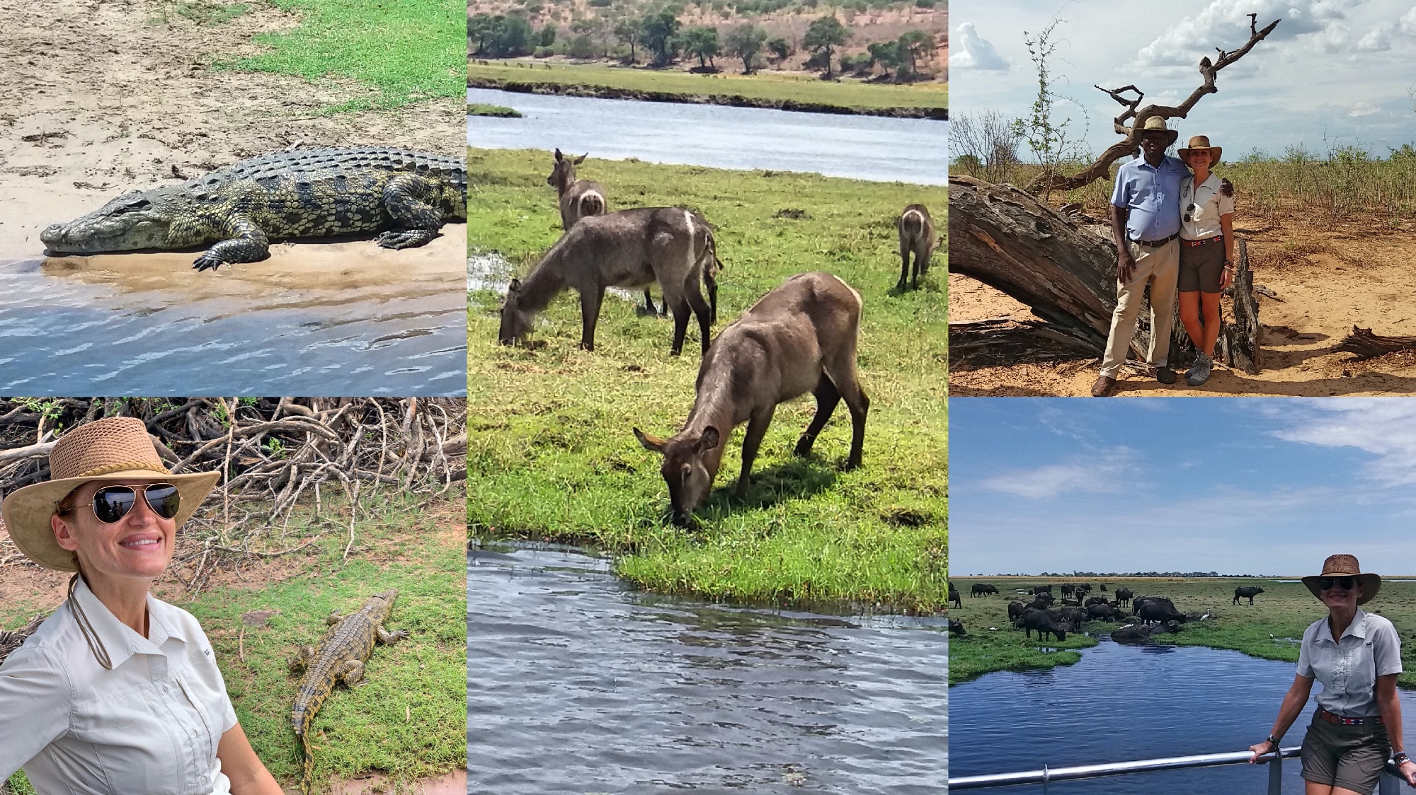 enkosi africa chobe sara botswana